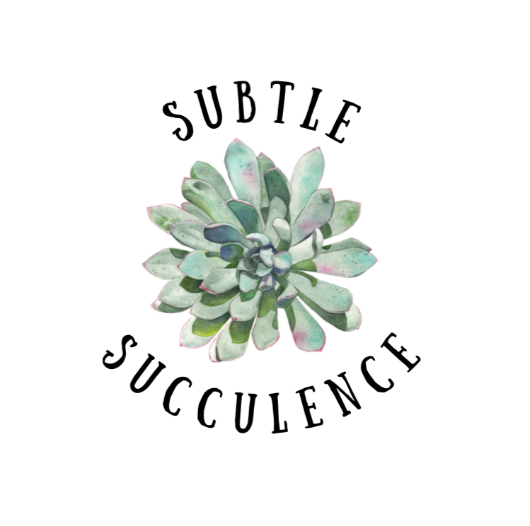 Home | Subtle Succulence